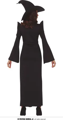 A person wearing a witch costume, viewed from the back.