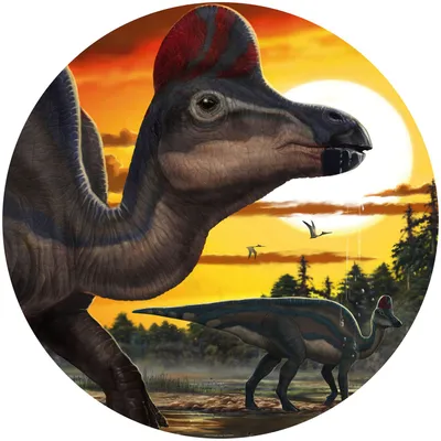 Produktbild von Komar selbstklebende runde Tapete Corythosaurus Sunset Orange und Braun - 610711 - Ø 128 cm