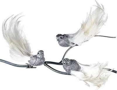 Produktbild von Goodwill Weihnachtskugel-Vogel auf Clip Silber-Weiß 18 cm Sortiment 3-teilig
