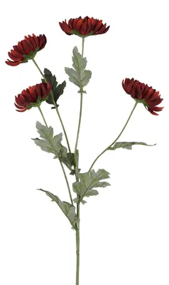 Obrázok produktu pre Countryfield umelá kvetina, chryzantéma, dekorácia, hnedá, 84 cm, viacfarebná