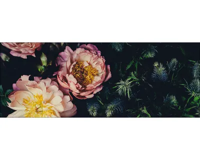 Produktbild von Glasbild Baroque Peonies II 80x30 cm