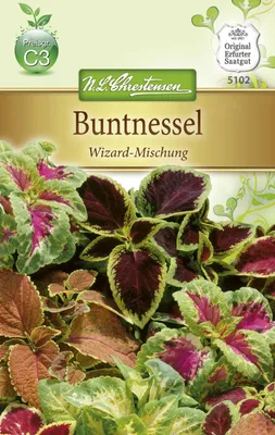 Produktbild von Buntnessel Wizard Mischung | Blumensamenmischung von N.L. Chrestensen
