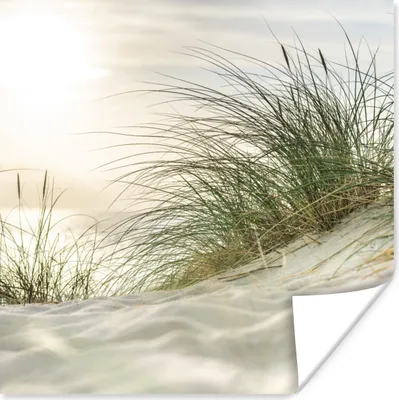 Produktbild von MuchoWow® Poster Dünen mit Strandhafer in der Sonne des Nationalparks Schleswig-Holsteinisches Wattenmeer 100x100 cm - Babyzimmer