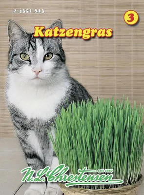 Produktbild von Katzengras | Kleintiersaaten von N.L. Chrestensen