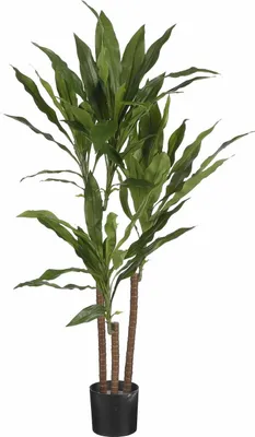 Obrázek produktu pro Mica Decorations Dracaena umělá rostlina - H100 x Ø70 cm - zelená