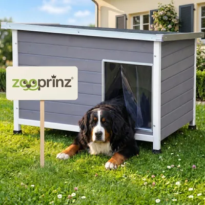 Produktbild von zooprinz Hundehütte Jacky | XL | Wetterfest | Massivholz | Klappdach | Höhenvestellbar | 117x80x75,5cm (BxHxT)