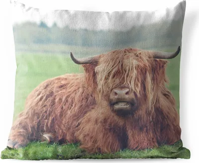 Produktbild von MuchoWow® Outdoor Kissen - Schottisches Hochlandrind - Kuh - Landschaft - 60x60 cm - Wetterfest - Lounge Kissen - Dekoration - Schlaf Kissen