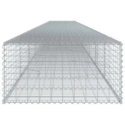 Produktbild von Gabione mit Deckel 1000x100x50 cm Verzinktes Eisen