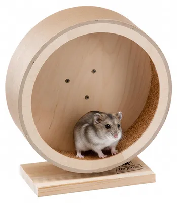 Productafbeelding van Ferplast Houten looprad, looprad voor hamsters en muizen, diameter 21 cm