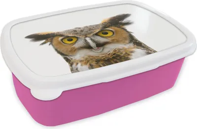 Produktbild von KitchenYeah® Lunchbox Brotzeit Brotdose 17x11 cm Eule - Vogel - Porträt Kinder Brotzeitdose - Lunchpaket - Brotkasten  - Sandwich Box