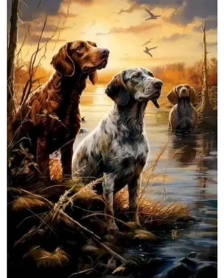Obrázok produktu pre Sada na maľovanie podľa čísel 50 x 40 cm s dreveným rámom – Tri psy