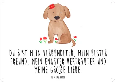Produktbild von Mr. & Mrs. Panda Wandbild Hund Dame DIN A5 - Weiß - Geschenk, Liebenswert, tafel, Türschild, Liebe, Schild, Magnetschild, Verliebt, Hunde, Sprüche, Hundeliebe, Metallbild
