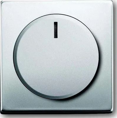 Produktbild von BJ pur edelstahl Dimmer- 6540-866-102 Abdeckung Edelstahl