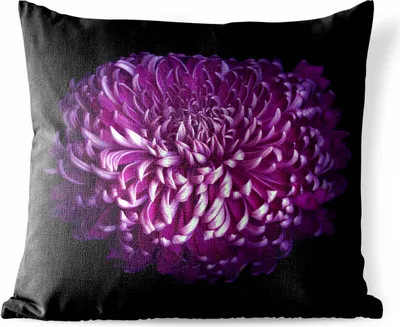 Produktbild von MuchoWow® Outdoor Kissen - Die Blätter einer lila Blume auf schwarzem Hintergrund - 40x40 cm - Wetterfest - Lounge Kissen - Kopfkissen - Interieur - Polster mit Bild