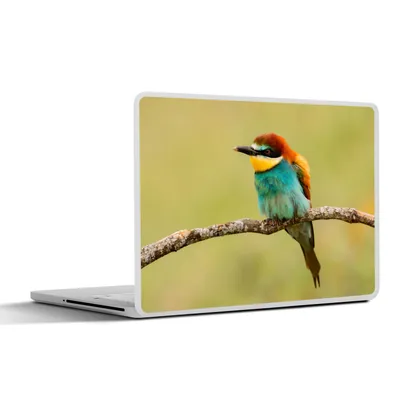 Produktbild von MuchoWow® Laptop Aufkleber Sticker Cover Vogel - Bienenfresser - Tiere 30x22 cm - Laptop-Sticker