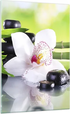 Produktbild von Bilder auf glas - Einteilig - blume orchidee - 70x100cm - Glasbilder - Wandbilder - Bilder - zum Aufhängen bereit - Wanddekoration aus Glas - Glas Bilder - Wandbild auf Glas - GPA70x100-3659