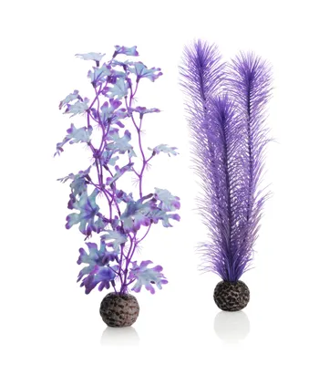 Obrázek produktu pro biOrb Kelp set M purple