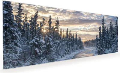 Produktbild von Küchenrückwand Spritzschutz Glas mit Motiv Winterflusswald 40 x 40 cm