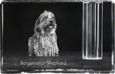 Produktbild von Bergamasker Hirtenhund, Berger de bergame - Stifthalter, Kristallorganizer mit Hundefoto, einzigartige Schreibtischdekoration der Marke Art-Dog