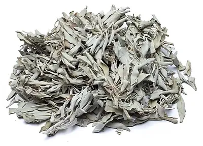 Produktbild von Weihrauchbüschel Weißer Salbei (Salvia Apiana) – 1000 g