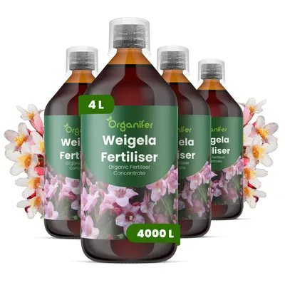 Obrázok produktu pre Tekuté hnojivo pre vajgélie, 4 x 1 liter – vzorec NPK 2-1-8 – Vhodné pre vajgélie – Zaisťuje dlhodobé kvitnutie, silný rast a vitalitu – Organický produkt
