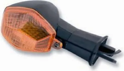 Obrázok produktu pre Blinker, vorne rechts / hinten links für: passend für Suzuki GS600F BANDIT '00-03