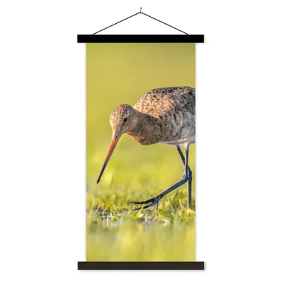 Produktbild von MuchoWow® Textilposter Vögel - Gras - Landschaft - Uferschnepfe 40x80 cm mit schwarzem Rahmen - Wandemalerei