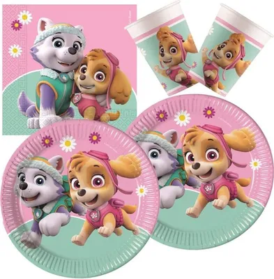 Image de Kit de fête Paw Patrol Skye et Everest, 52 pièces
