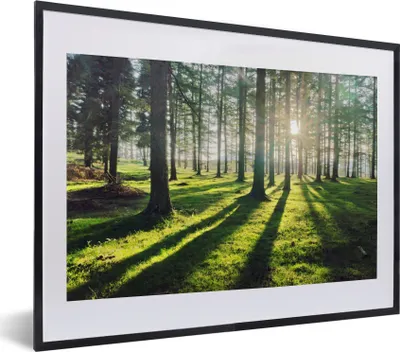 Produktbild von MuchoWow® Gerahmtes Poster Bäume - Natur - Wald 40x30 cm - Poster mit Schwarzem Bilderrahmen Wandposter Rahmen Foto Bilder - Bilderrahmen - Poster im Rahmen