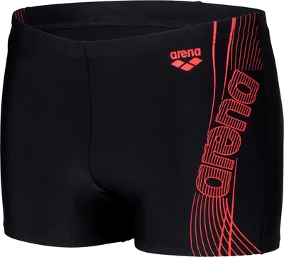 Produktbild von arena Dreamy Schwim Shorts für Herren, Farbe:Schwarz, Größe:5