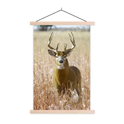 Produktbild von MuchoWow® Textilposter Hirsche - Gras - Herbst - Tiere - Natur - Geweih 40x60 cm mit holzfarbenen Rahmen - Poster