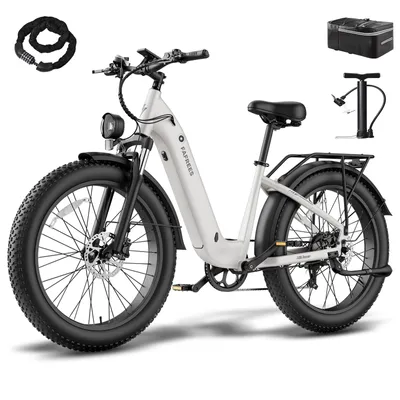 Produktbild von Fatbike Pedelec mit 150 kg Zuladung, 960 Wh 48 V 20 Ah Akku, Tiefeinstieg und 7-Gang Shimano-Schaltung, Grau