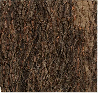 Immagine prodotto di Sfondo in sughero naturale 58,5 x 56 x 2 cm 1 pezzo