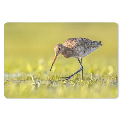 Produktbild von MuchoWow® Mauspad Mousepad Vögel - Gras - Landschaft - Uferschnepfe 27x18 cm - Mousepads - Maus Mat - Pad - Mausunterlage - Büroartikel - Desk Matten
