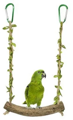 Image de Jouet pour oiseaux en bois naturel, idéal pour perruches ondulées, perruches, perroquets et canaris