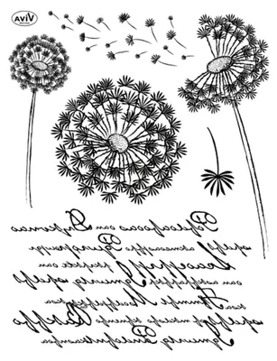 Produktbild von Löwenzahn Clearstamp 14 x 18 cm