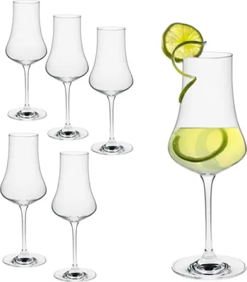 Produktbild von Rona Destillatglas 260 ml I 6er Set Whiskygläser I edles Kristallglas I spülmaschinentauglich I Tumbler I hochwertige Qualität