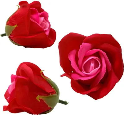 Produktbild von Zweifarbige Seifenrose - Rot und Rosa