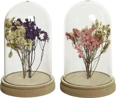 Immagine prodotto di Bicchiere Decoris Stolp con fiori secchi Ø11,5-H18cm