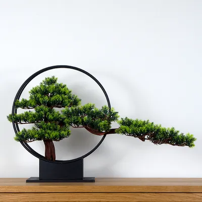 Obrázek produktu pro Pokojová dekorativní bonsai - Borovice v kruhovém podstavci (PN-11)