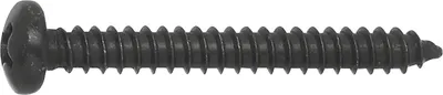Produktbild von DIN7981C 4.8x 25 PH-Kreuzschlitz verzinkt schwarz Linsen-Blechschraube ISO7049
