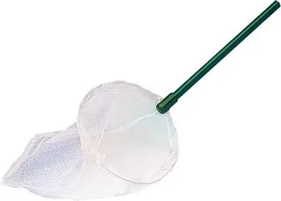 Immagine prodotto di Rete cattura uccelli Nobby in tulle n. 1, manico: 25 cm, testa in tulle Ø13 cm*29 cm