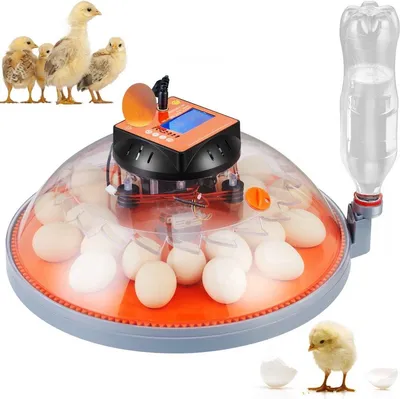 Produktbild von Brutmaschine DeLuxus – Für Hühner und Enten – Mit Temperatur- und Feuchtigkeitsregelung – 360° Luftzirkulation