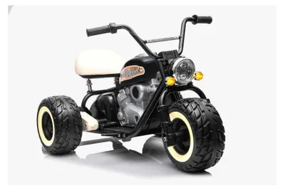 Produktbild von Elektro Kindermotorrad 2x800W Brushless Motoren – 24V7A – Schwarz
