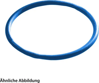 Productafbeelding van WISKA O-ring voor schroefkoppeling M16, rond, siliconenrubber (VMQ), kleur blauw - 1 stuk