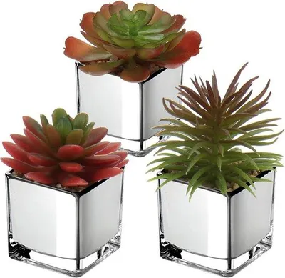 Immagine prodotto di Set di piante artificiali per piante grasse - Decorazione per vasi di vetro