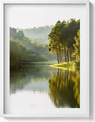 Produktbild von Grüne Flusslandschaft– Wandbild mit Rahmen – Gerahmtes Bild  – Wanddekoration – 60x80 cm –  Weiß Rahmen