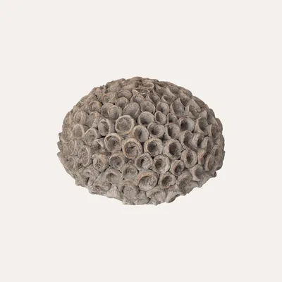 Immagine prodotto di KEYHOMESTORE | Corallo Decorativo in Resina Grigio Piccolo