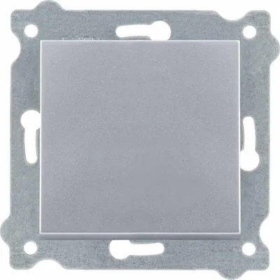 Image de Interrupteur croisé argent 214/10E EXEN