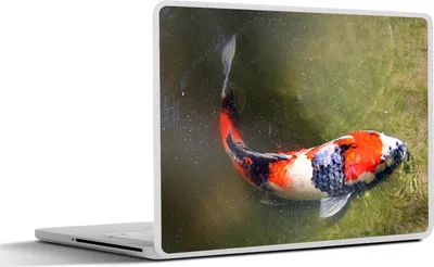 Produktbild von MuchoWow® Laptop Aufkleber Sticker Cover Ein Koi-Karpfen auf dem Grund eines Teiches 36.5x27.5 cm - Laptop-Sticker
